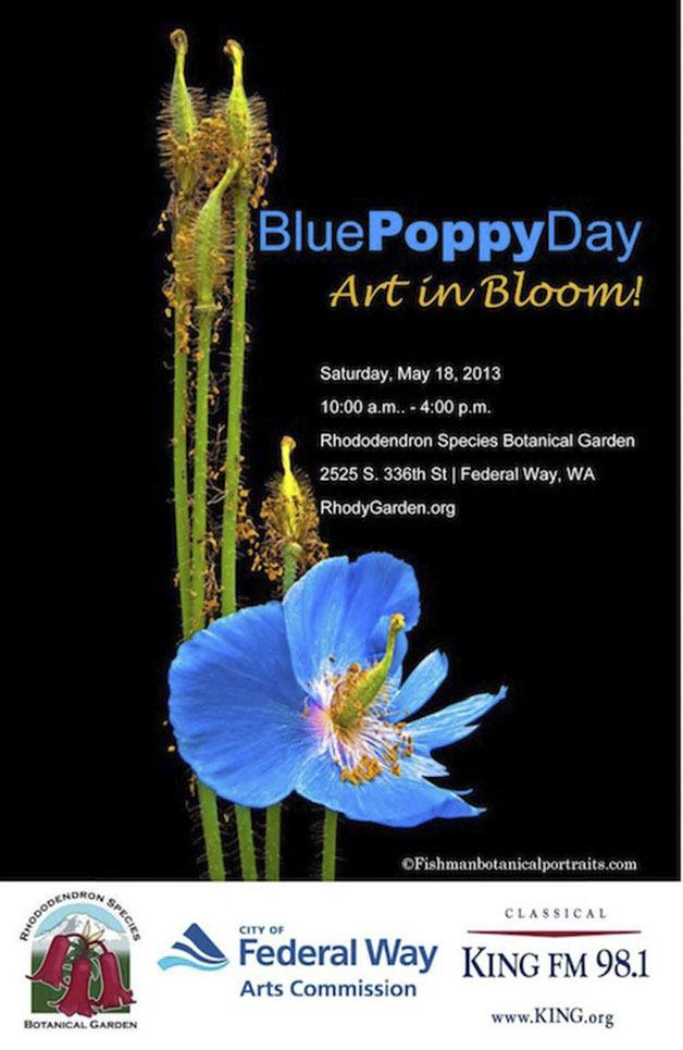 Don't miss Blue Poppy Day on May 18 in Federal Way.