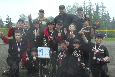 The Steel Lake Little League AA Astros team includes