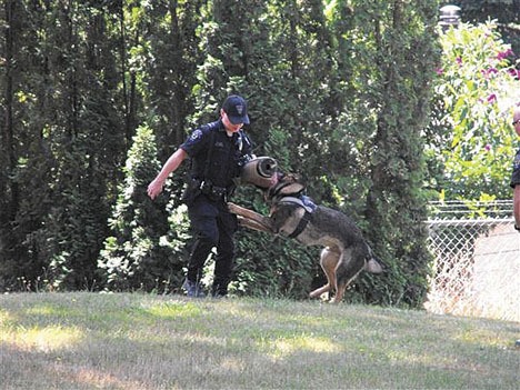 Federal Way K-9 officers met with Park Pals on July 25.