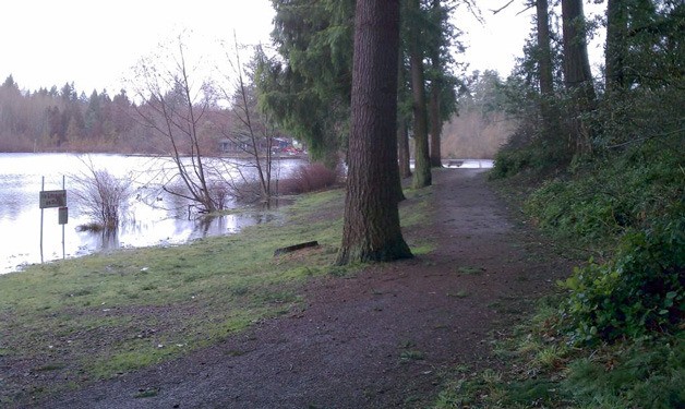 The shore of Five Mile Lake.