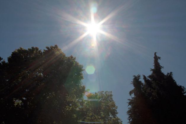 A parked car can reach 125 degrees in just a few minutes on a hot day.