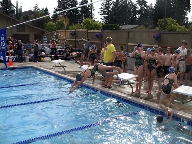 Penguin swimmers warm up