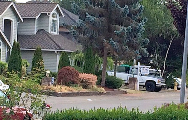 Witnesses took a photo of the white Chevy pickup truck with a blue top (pictured) as burglars dressed as workers stole thousands of dollars worth of appliances from a house for sale on Aug. 3.