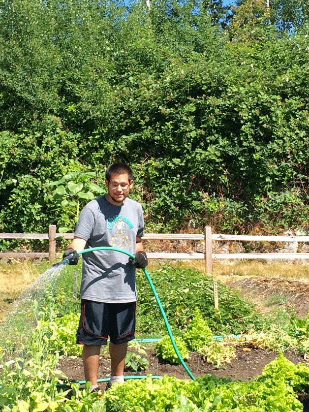 Andy Satkowski waters the edible garden at Highline College earlier this year. The garden gives students like Satkowski