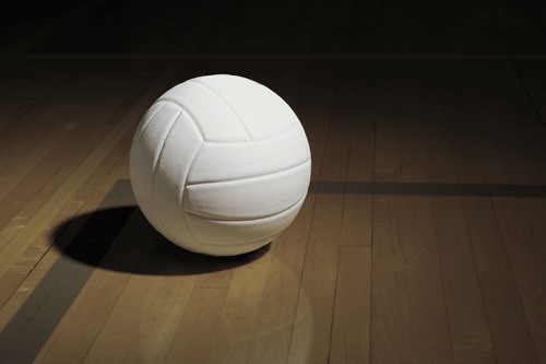 The Todd Beamer High School volleyball team recently topped Christian Faith 3-0.