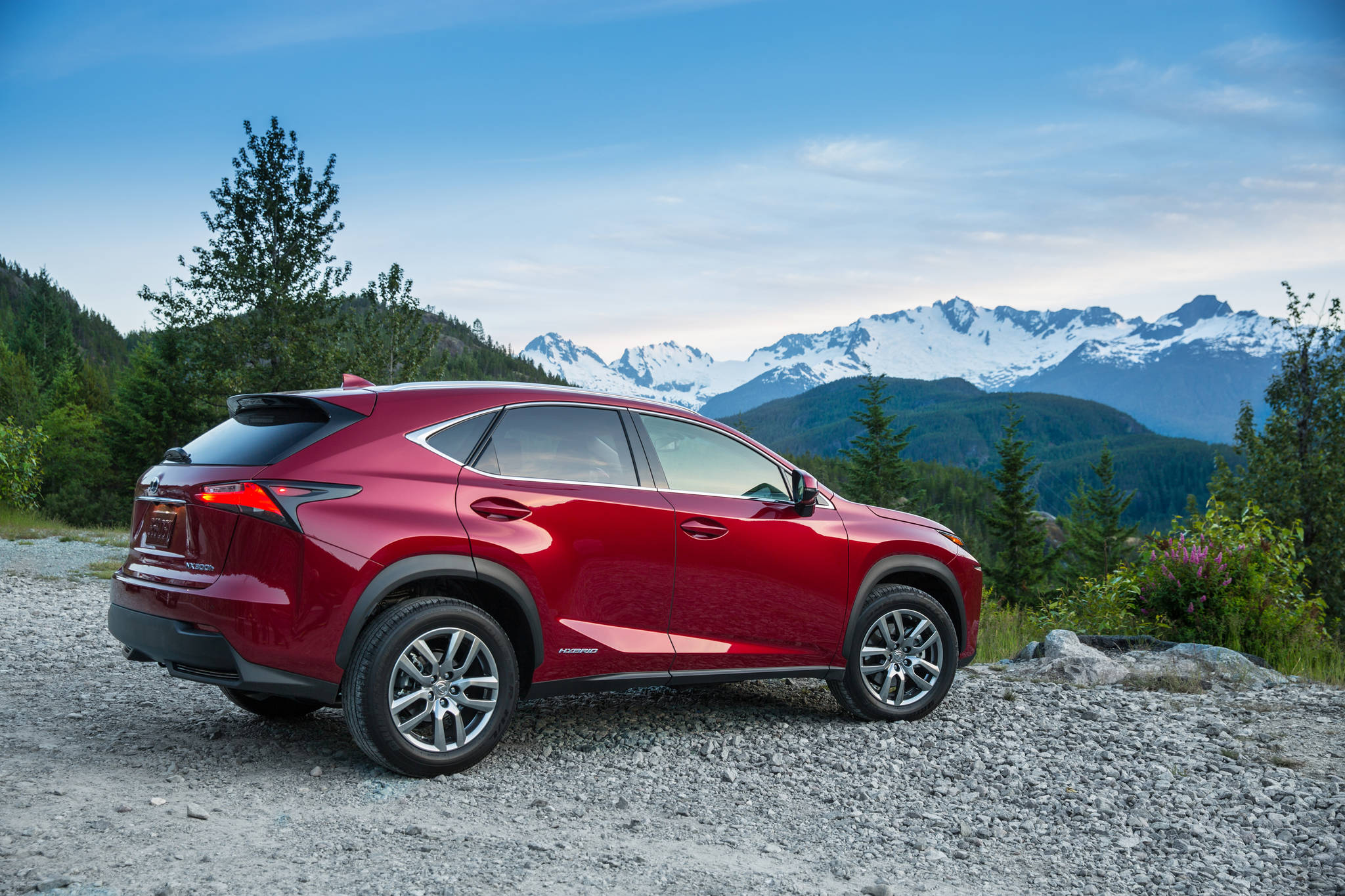 2021 Lexus NX 300h