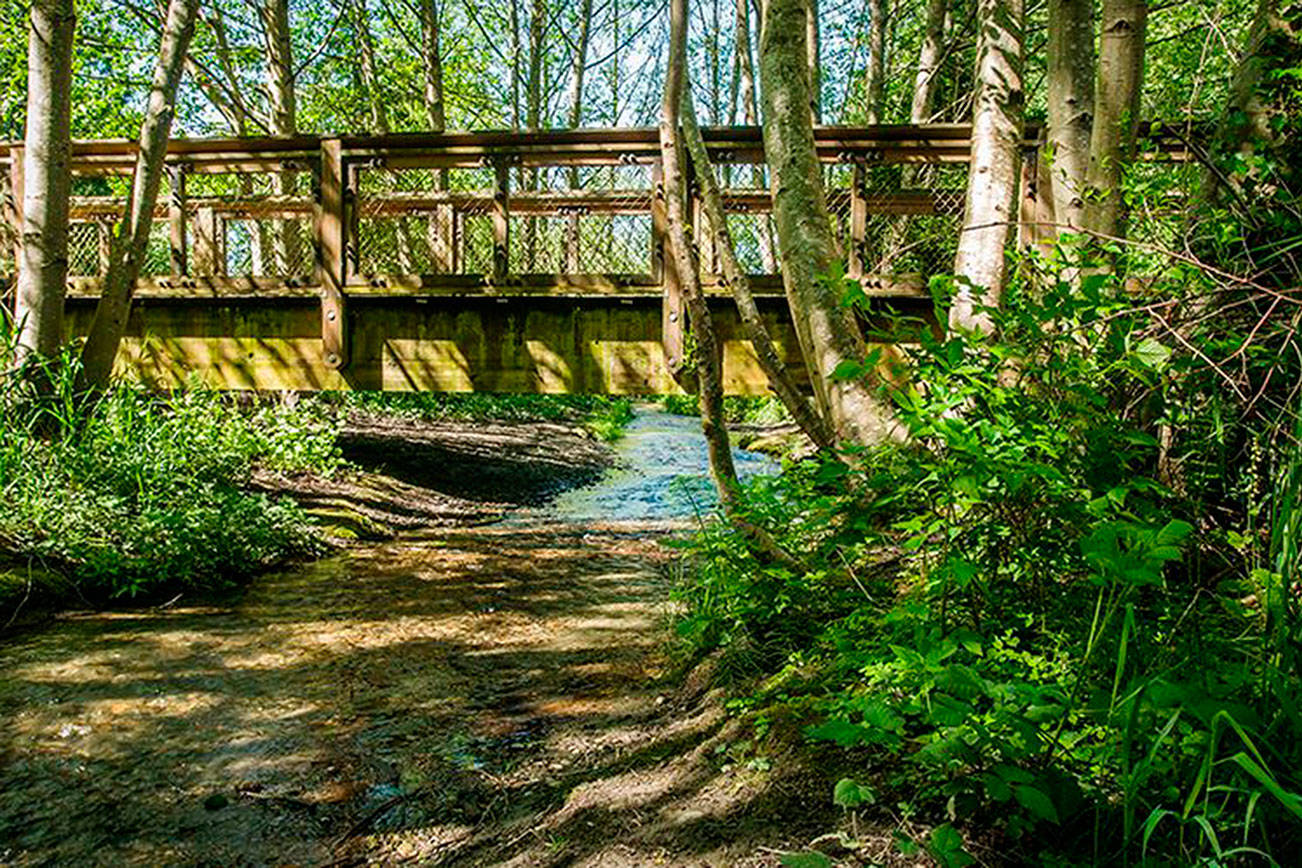 Dash Point State Park. Washington State Parks photo