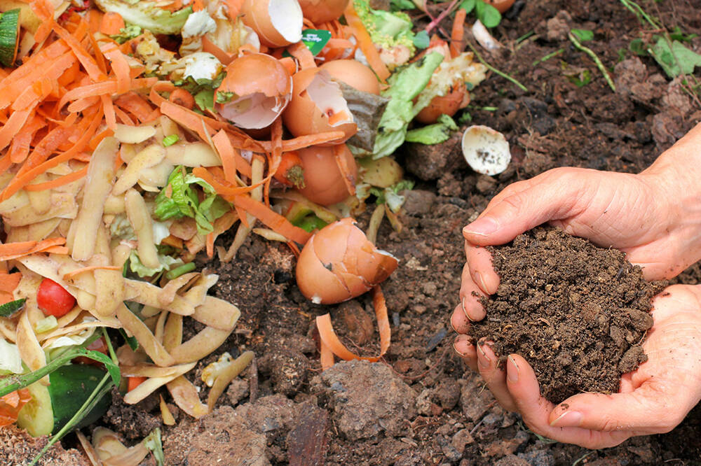 File photo
King County is considering ways to increase both the supply of and demand for compost to help divert organic material from the landfill.