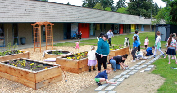 Like other school community gardens, this one features vegetable plants and flowers as well as some native plants. At the grand opening, community members got to put their creative touch on stones in the community garden. Photo by Keelin Everly-Lang / The Mirror