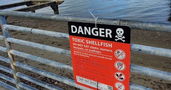 A warning sign at Redondo notifying beachgoers that they should not consume any shellfish at that location. File photo