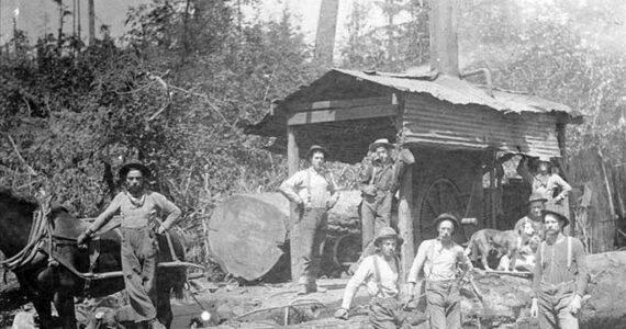 Weyerhaeuser Timber Co., Camp 2, Walsh Lake, Southeastern King County, near the now-extinct town of Barneston, June 15, 1904. Photo courtesy UW Special Collections