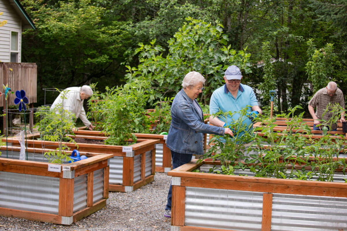 Finding the right hobby is all about discovering what brings you joy and what makes you distinctly you. Courtesy Village Green Senior Living