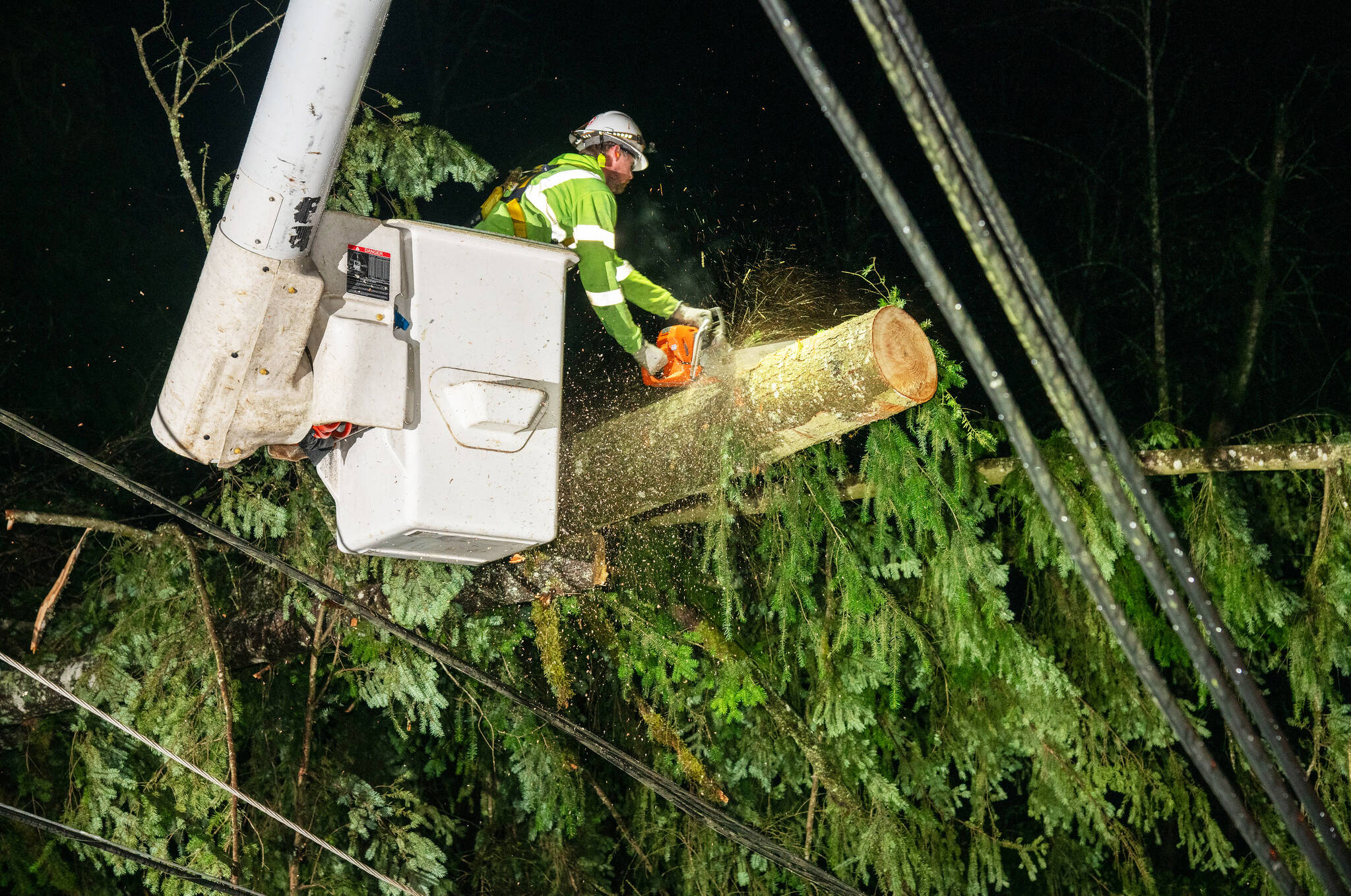 A Puget Sound Energy crew member removes a tree from the wires after the Nov. 19-20 windstorm that struck Western Washington. COURTESY PHOTO, PSE