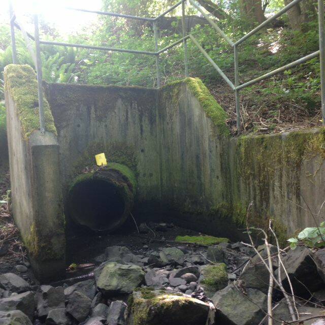 The City of Federal Way has plans to replace this culvert to make it possible for salmon to swim up Redondo Creek to spawn. Photo from Washington Department of Fish and Wildlife reports.