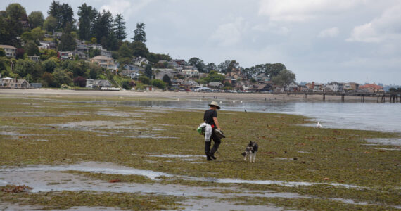 At Dash Point on June 16, 2022. File photo