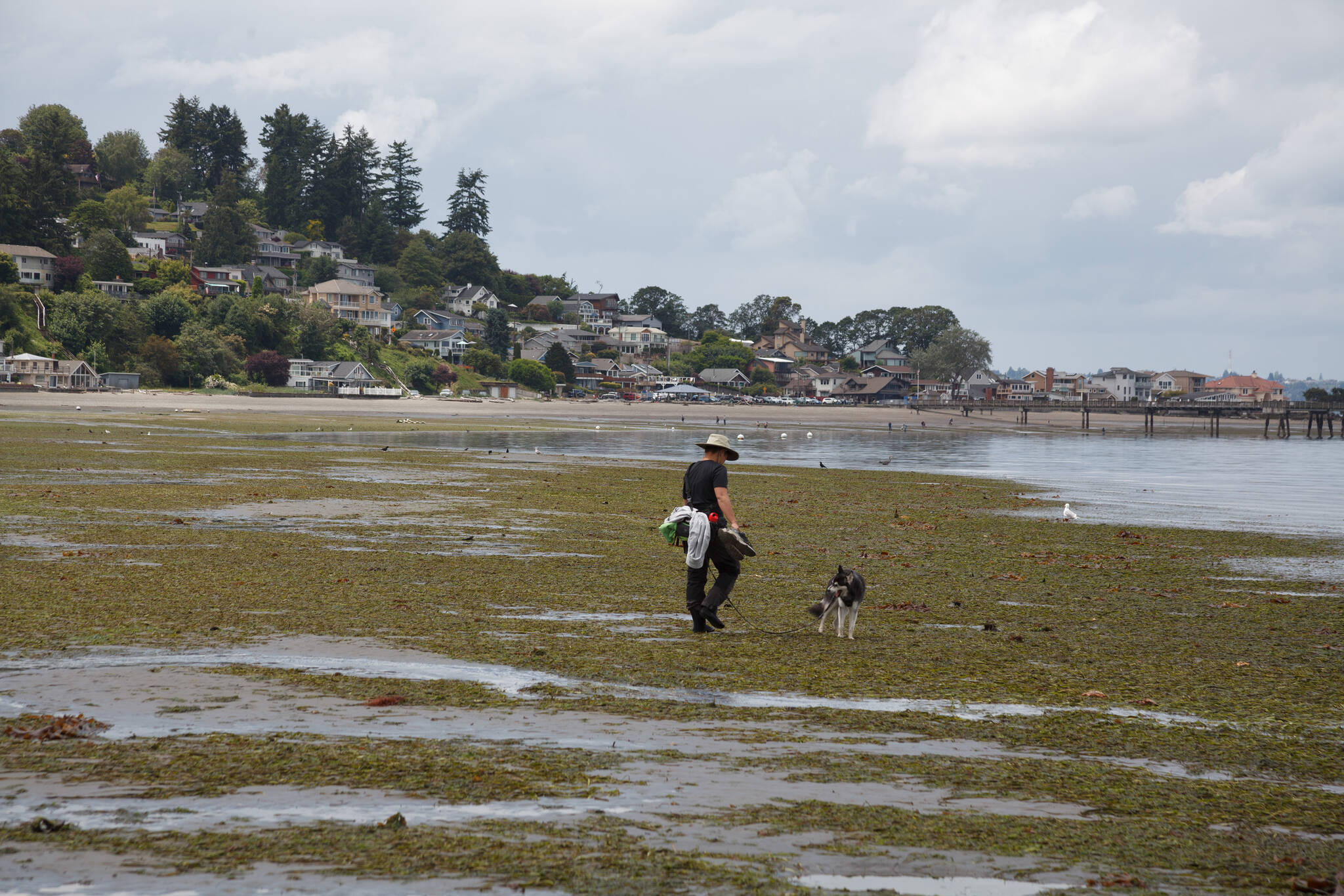 At Dash Point on June 16, 2022. File photo