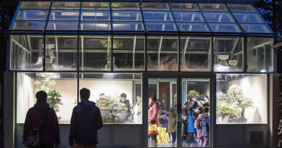 The Pacific Bonsai Museum in Federal Way received a Doors Open Facilities grant that the museum will use to transform its conservatory into a more visitor-focused center. Photo provided by 4Culture