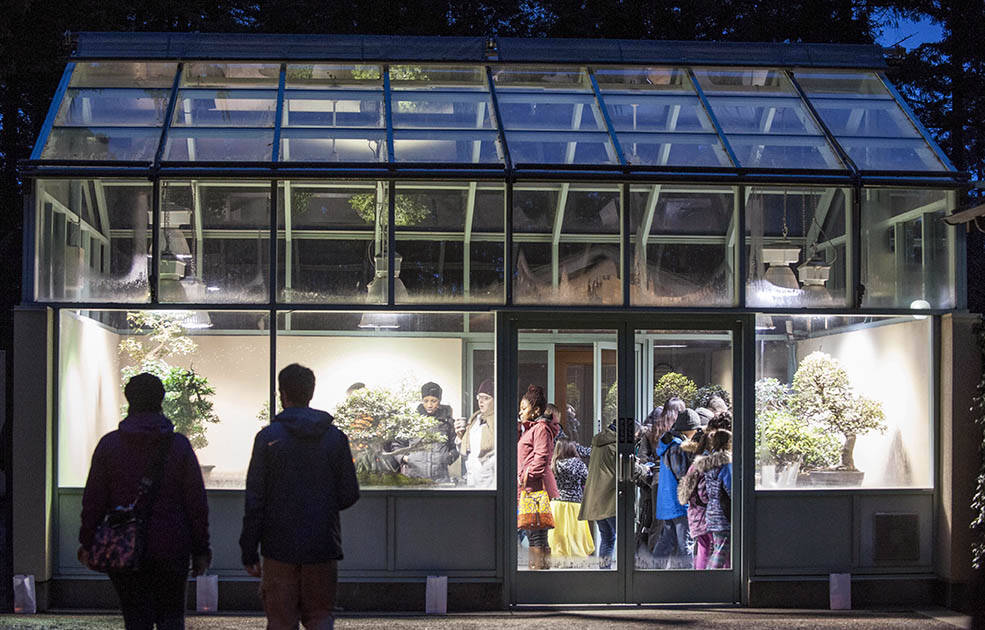 The Pacific Bonsai Museum in Federal Way received a Doors Open Facilities grant that the museum will use to transform its conservatory into a more visitor-focused center. Photo provided by 4Culture