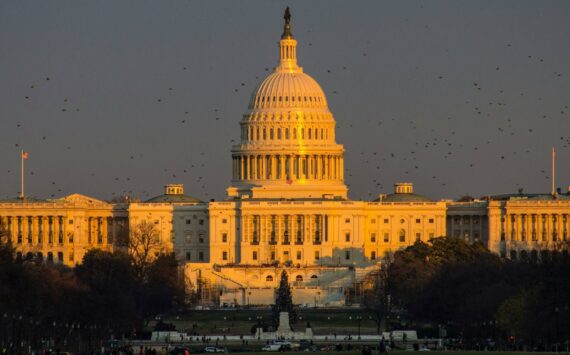 The U.S. Capitol in Washington. Photo courtesy of Pexels.